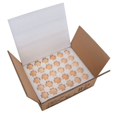 Buy Custom High Density Transport Protection Egg Packaging Die Cut EPE Foam online manufacture